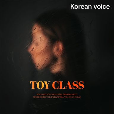 Toy Class poster