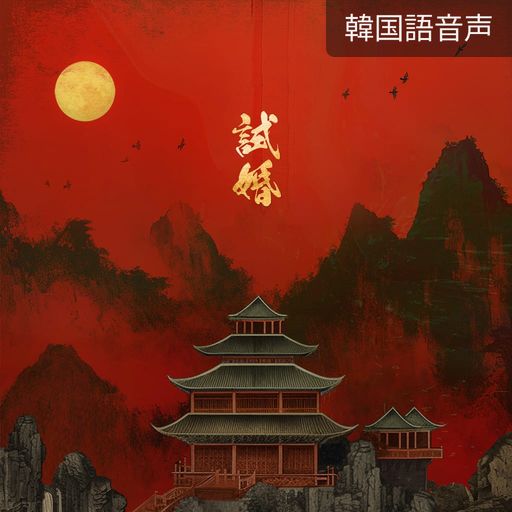 試婚 poster