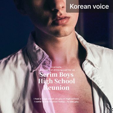 Serim Boys’ High School Reunion poster