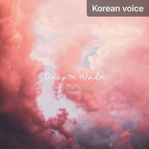 Dream Walk poster