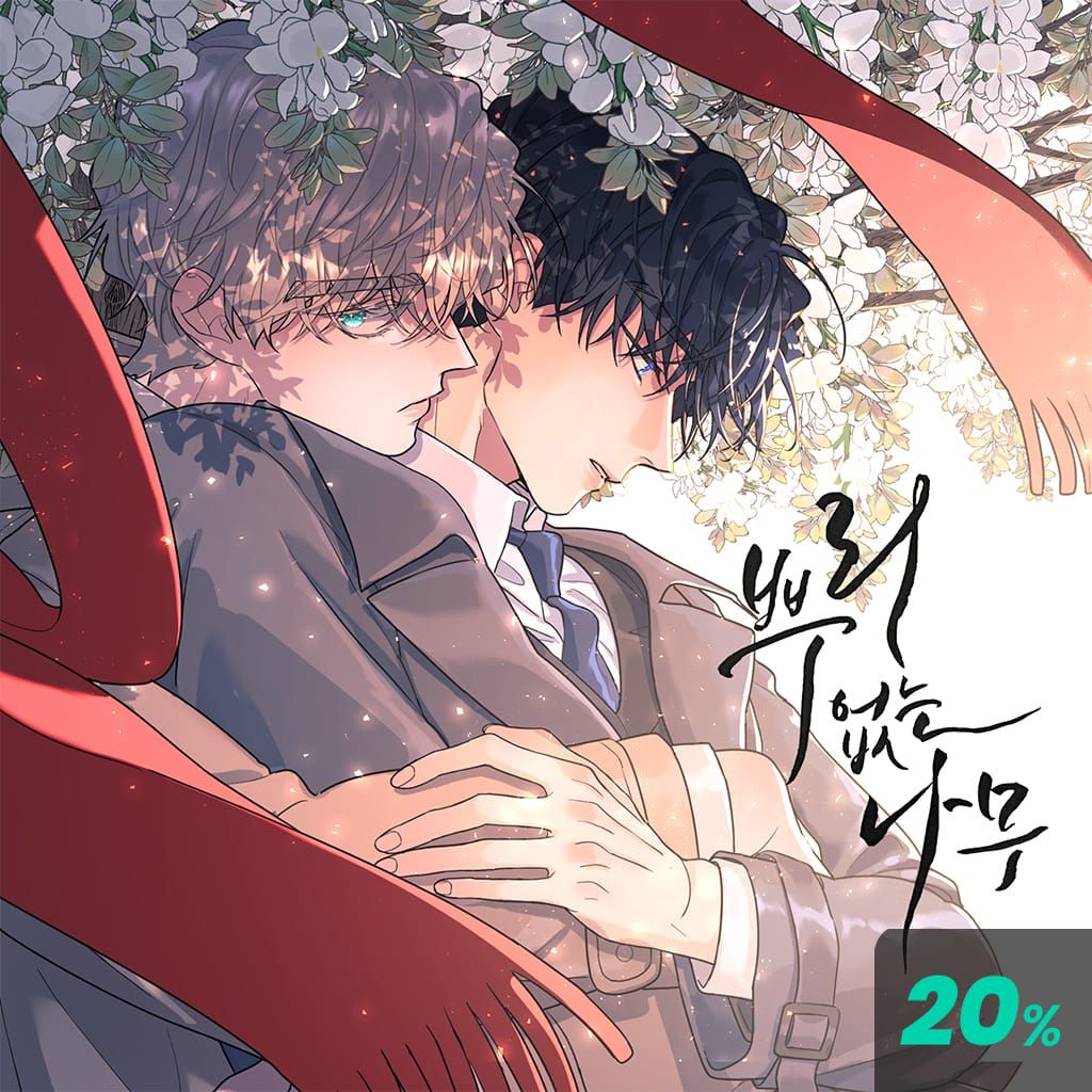 뿌리 없는 나무 poster