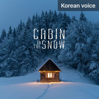 The Cabin in the Snow poster