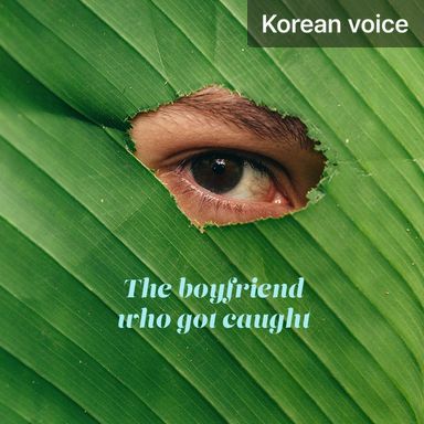 The boyfriend who got caught poster