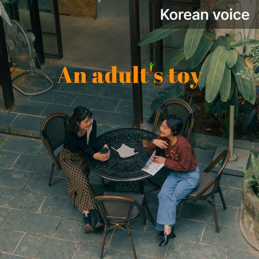 An adult's toy poster