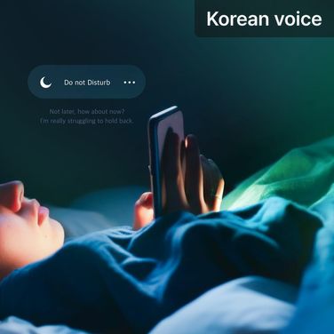 Do not Disturb poster