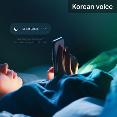 Do not Disturb poster