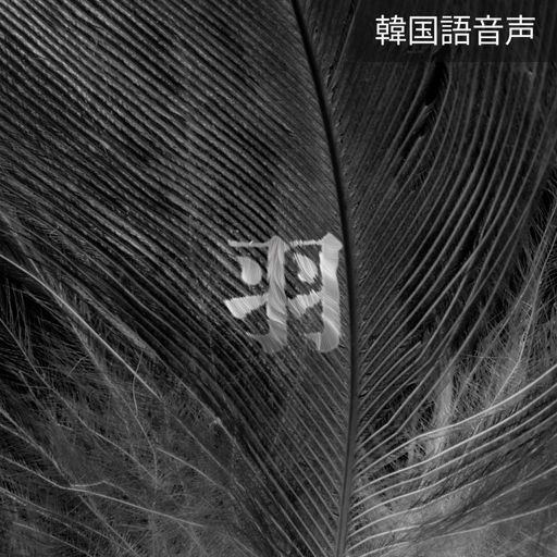 羽　 poster