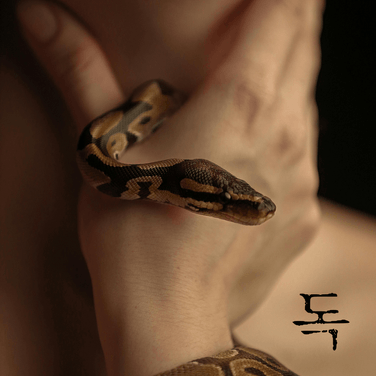 독 - Poison
