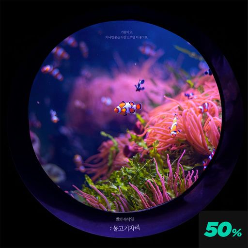 별의 속삭임 : 물고기자리