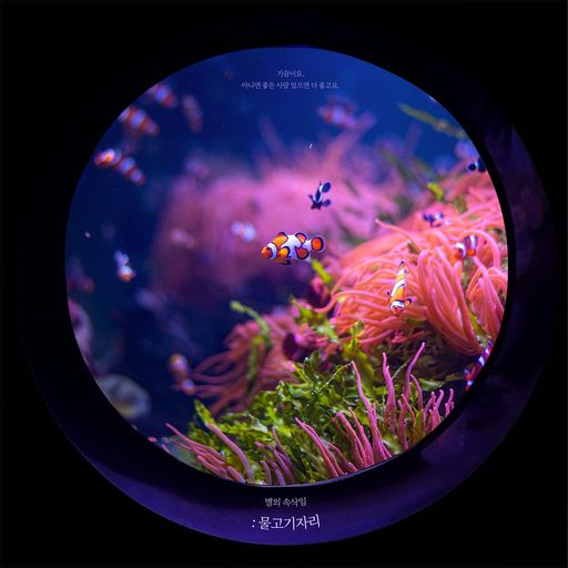 별의 속삭임 : 물고기자리 poster