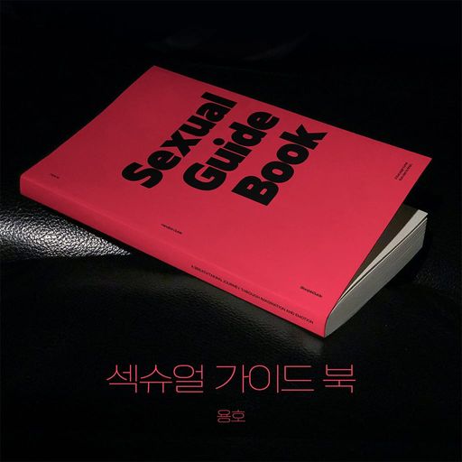 Sexual Guide Book poster