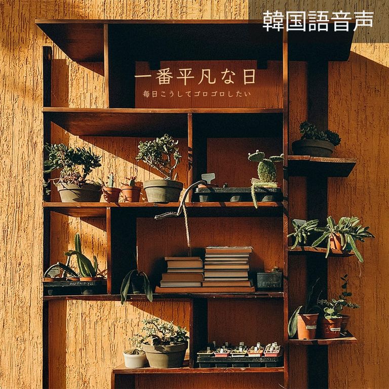 一番平凡な日