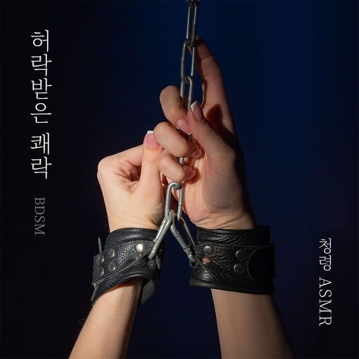 《허락받은 쾌락》 -BDSM- poster