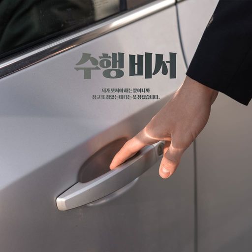 수행비서 poster