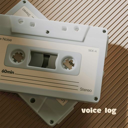 voice log poster