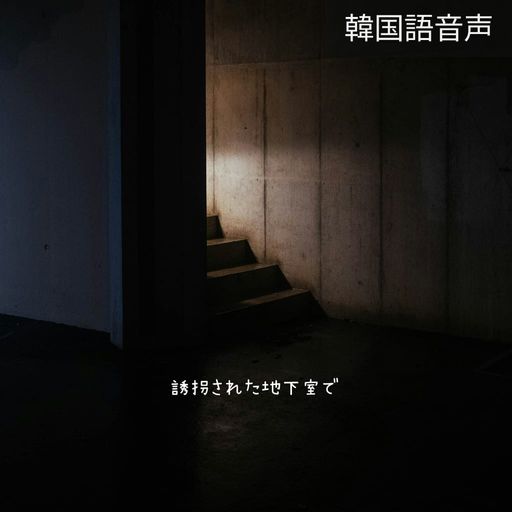 誘拐された地下室で poster