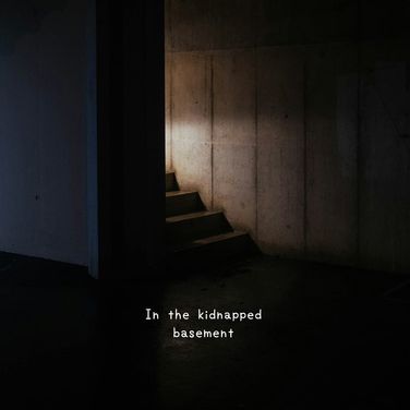 In the kidnapped basement