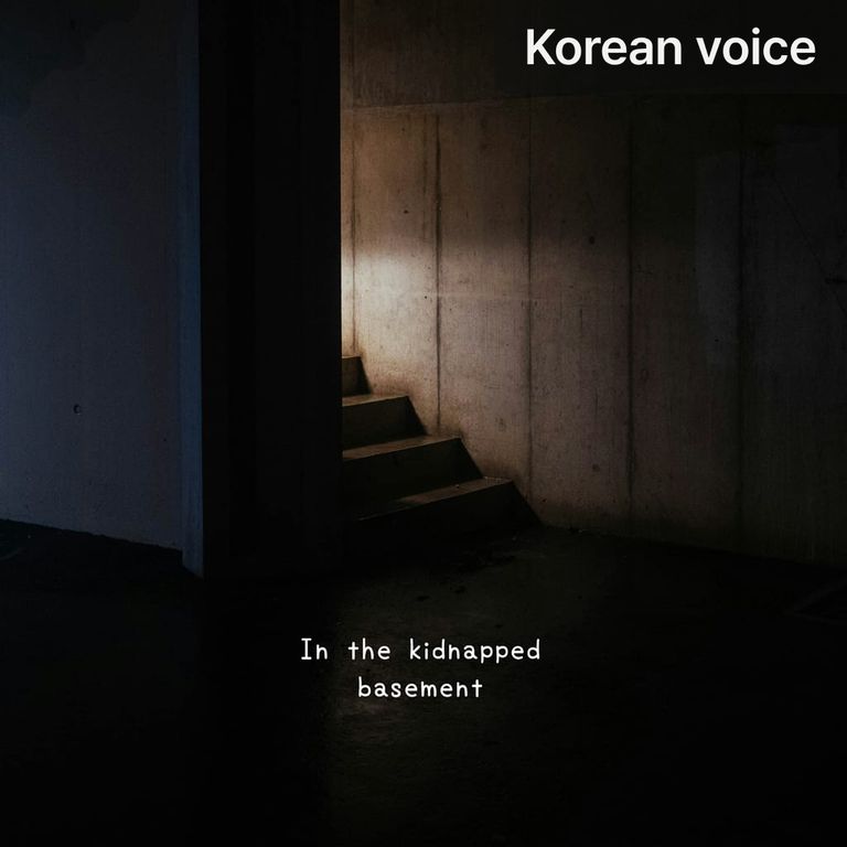 In the kidnapped basement