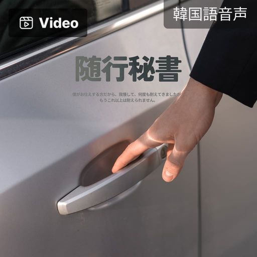 随行秘書 poster
