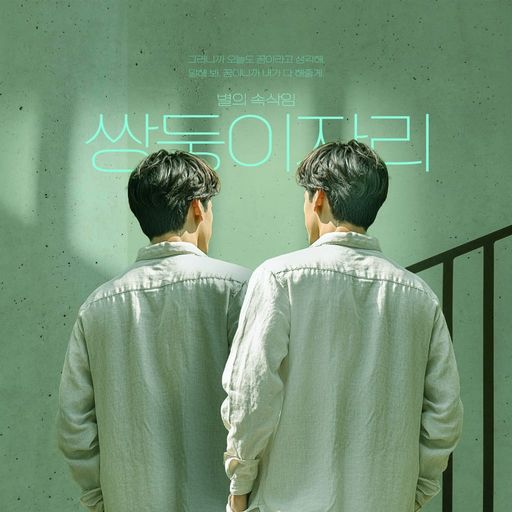 별의 속삭임 : 쌍둥이자리 poster