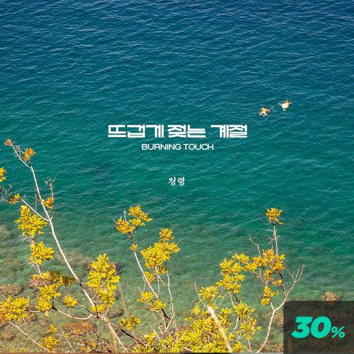 뜨겁게 젖는 계절 -BURNING TOUCH- poster