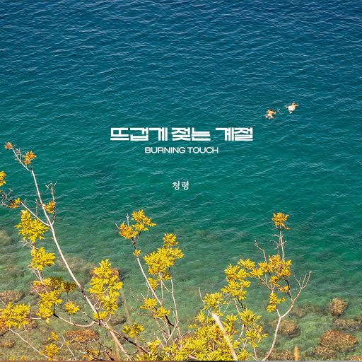 뜨겁게 젖는 계절 -BURNING TOUCH- poster