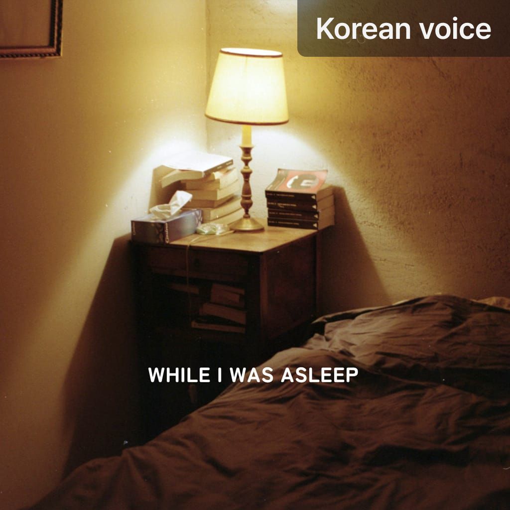 While I was asleep. poster
