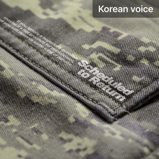 Scheduled to Return poster