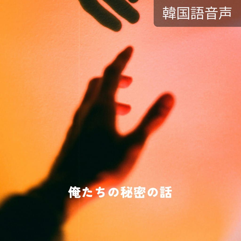 俺たちの秘密の物語 poster