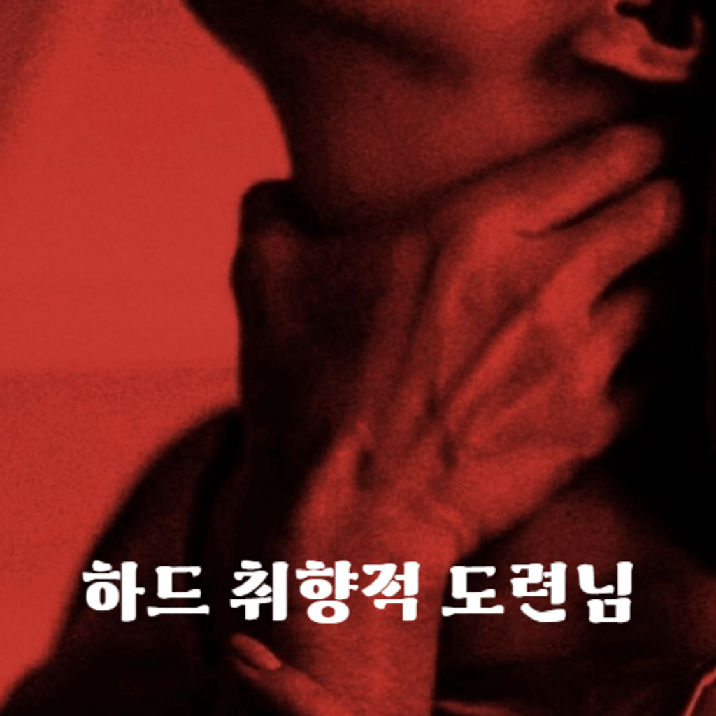 하드 취향적 도련님 poster