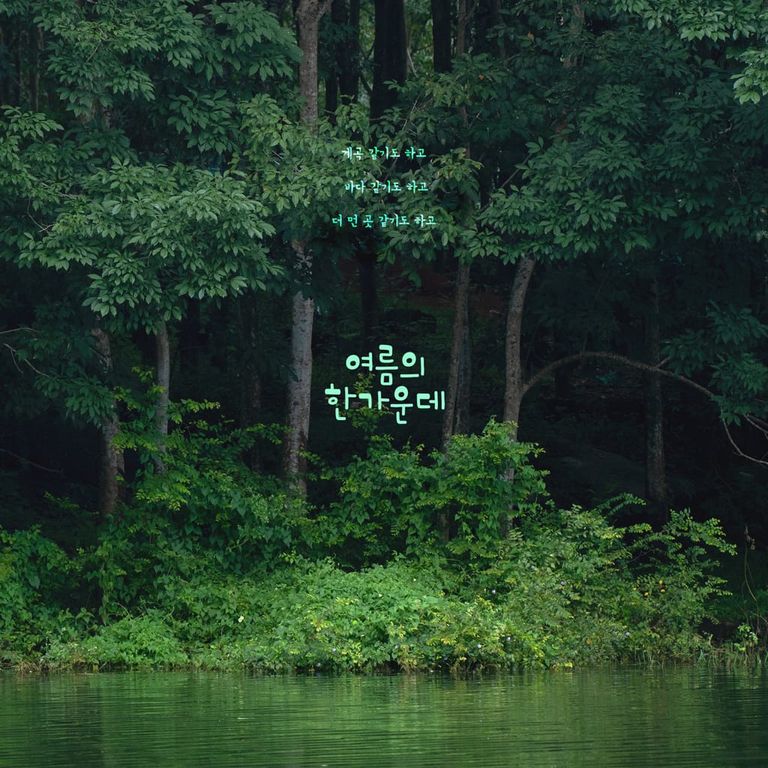 여름의 한가운데