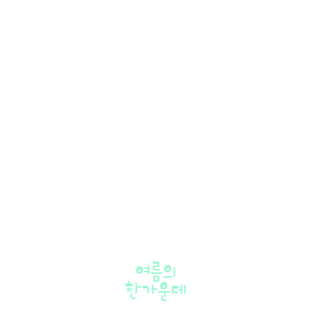 여름의 한가운데