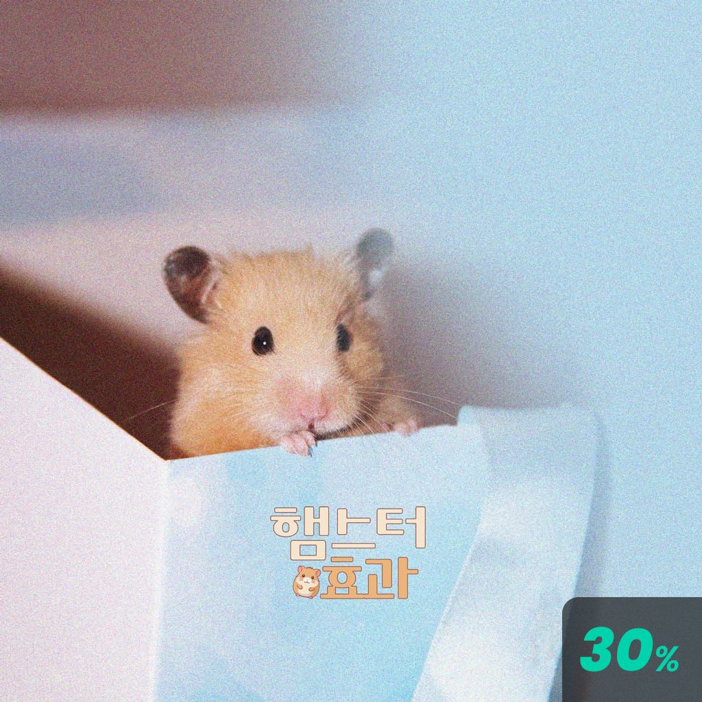 햄스터 효과 poster