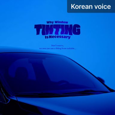 Why Window Tinting Is Necessary poster