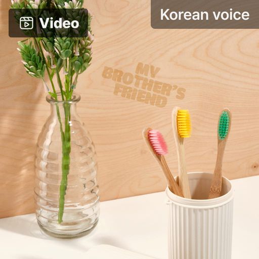 My Brother’s Friend poster