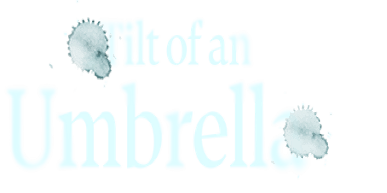 50% off popular stories this week only!