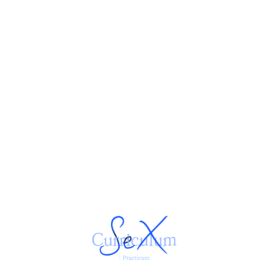Sex Curriculum: Practicum