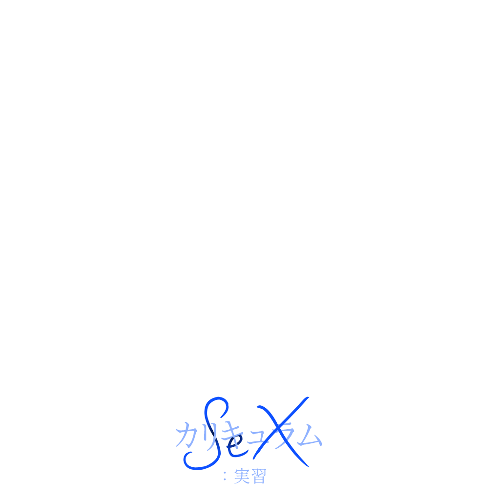 セックス・カリキュラム：実習