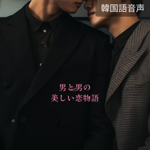 男と男の美しい恋物語 poster