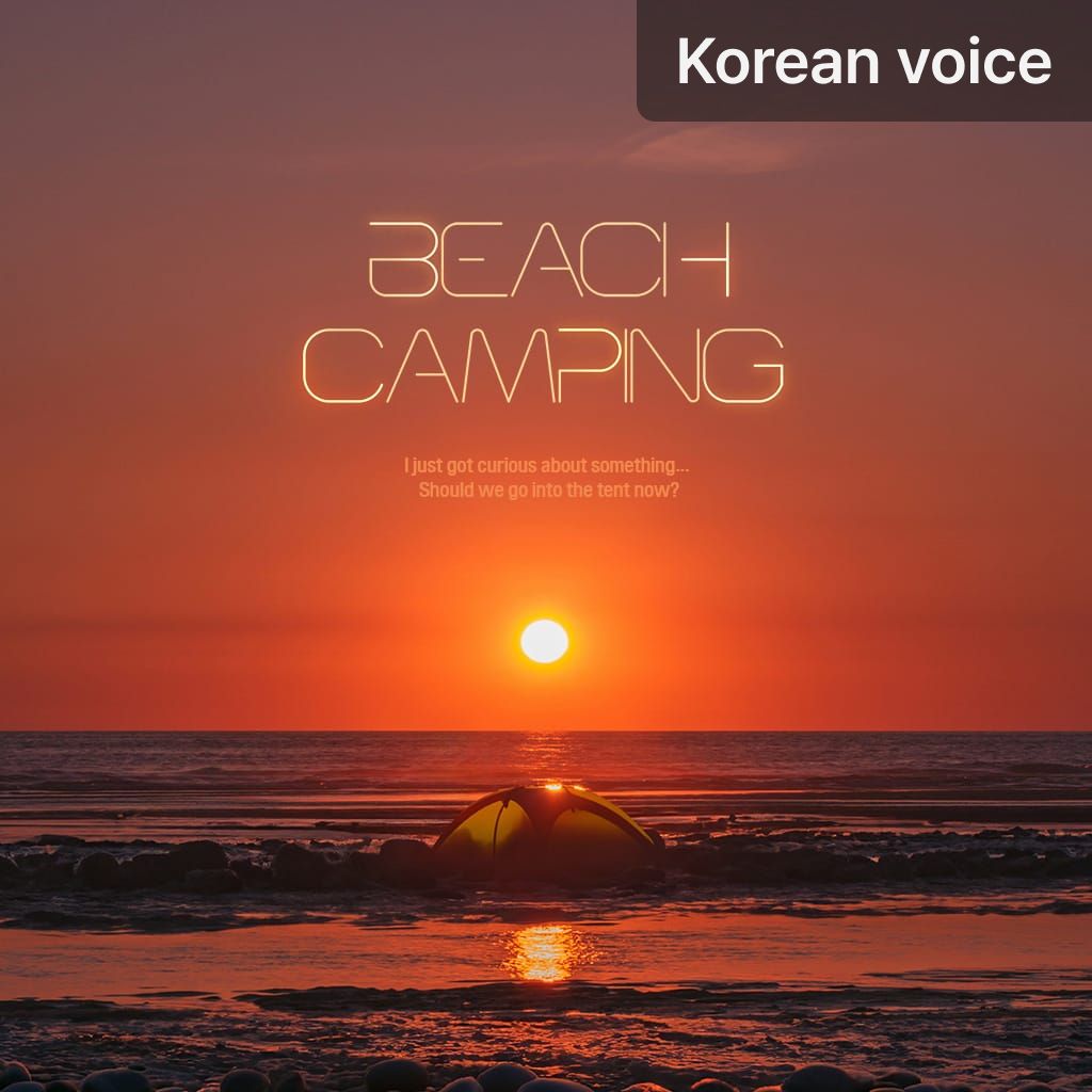 Beach Camping poster