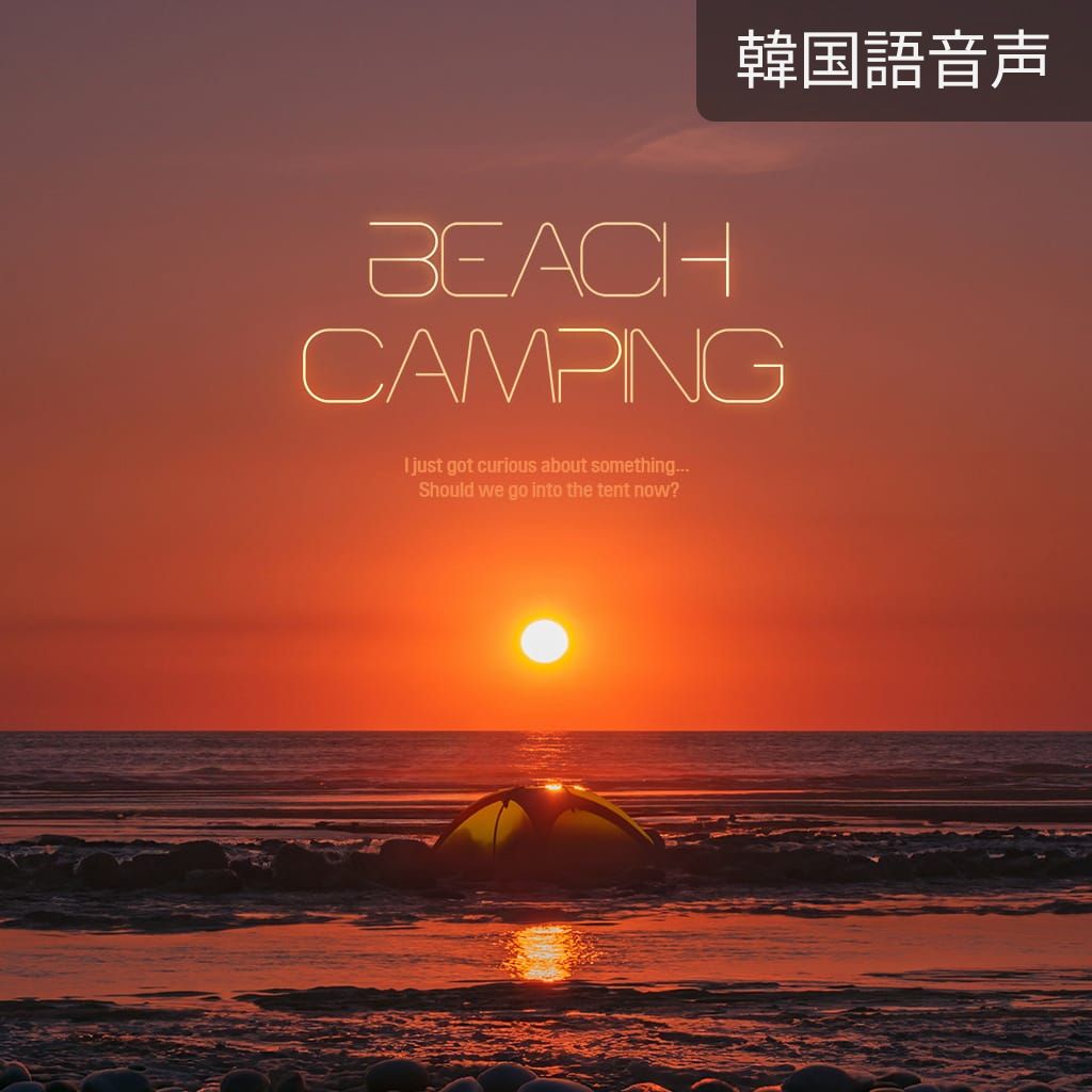 BEACH CAMPING poster