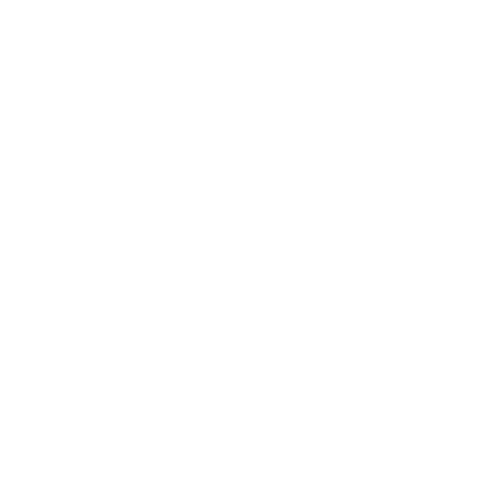 마스터의 광공