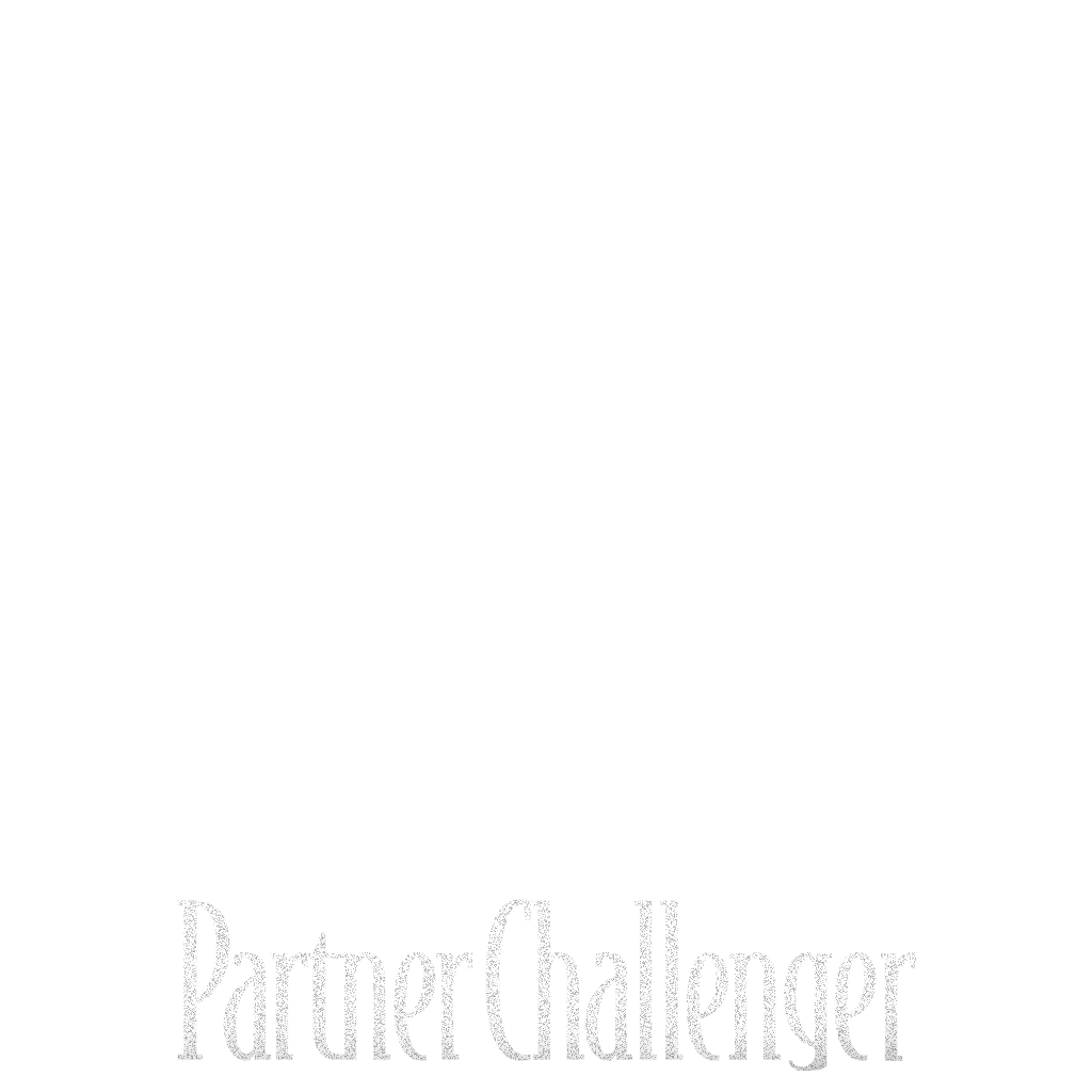 Partner Challenger