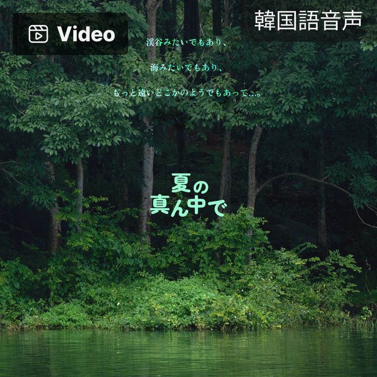 夏の真ん中で