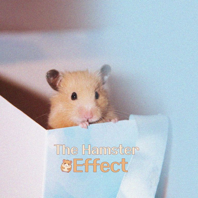 The Hamster Effect poster