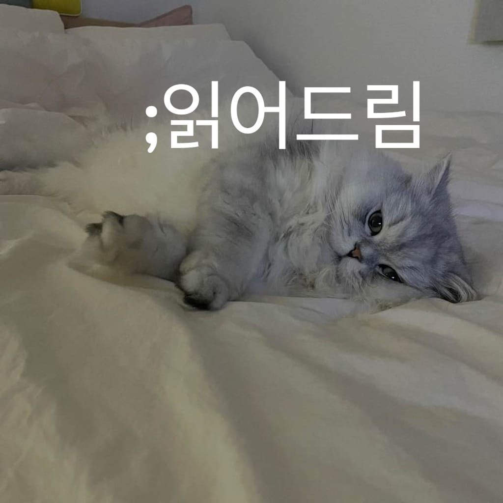 읽어드림 poster