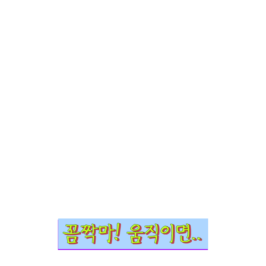꼼짝마! 움직이면..