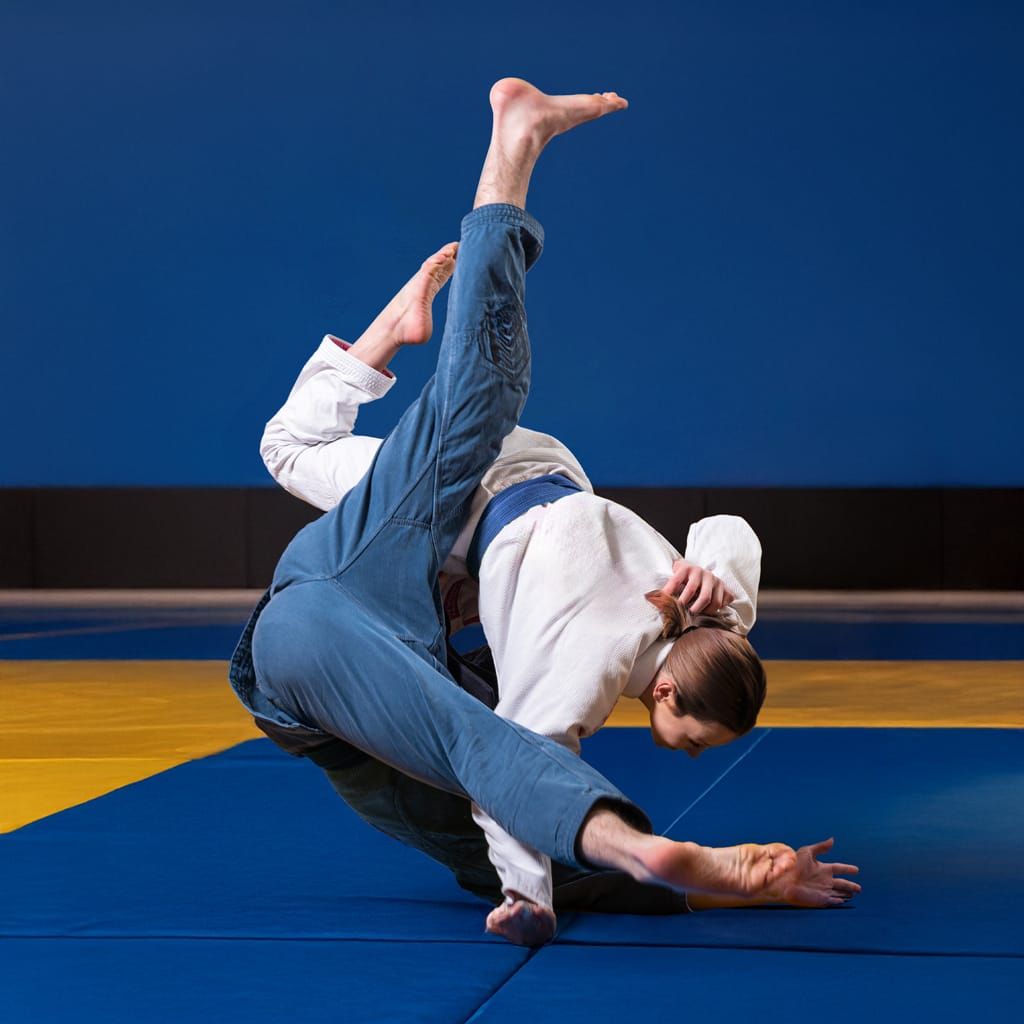 Seongguk University Jiu-Jitsu Club
