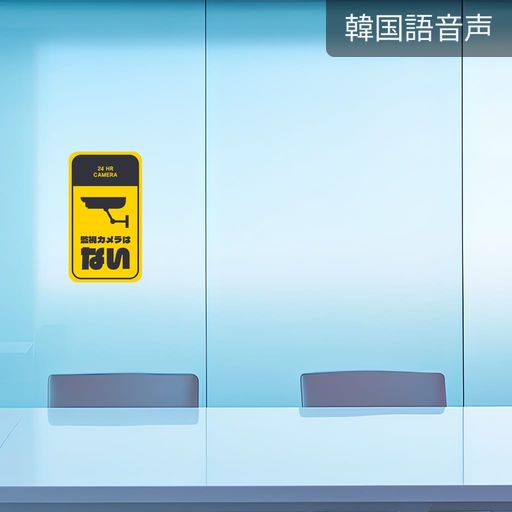 監視カメラはない poster