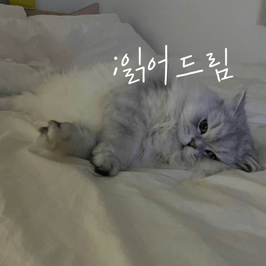읽어드림 poster
